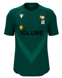 Newdigate CC Wisp T-Shirt Jnr