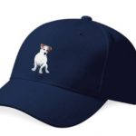 BC065-steamin'-billy-cap-2