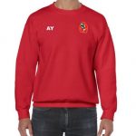 18000B-harborne-hockey-club-sweatshirt-junior-main
