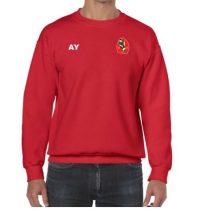 18000B-harborne-hockey-club-sweatshirt-junior-main