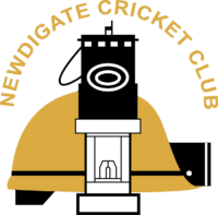 Newdigate Cricket Club